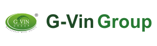 about-G-vingroup
