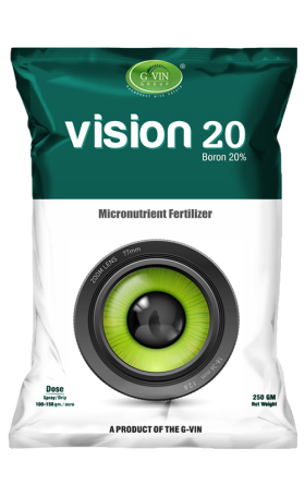 Vision 20