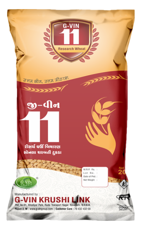 G-Vin 11 (Research Wheat)