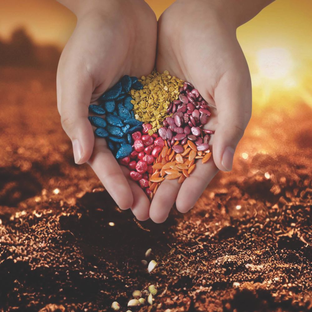 RESERCH AND HYBRID SEEDS