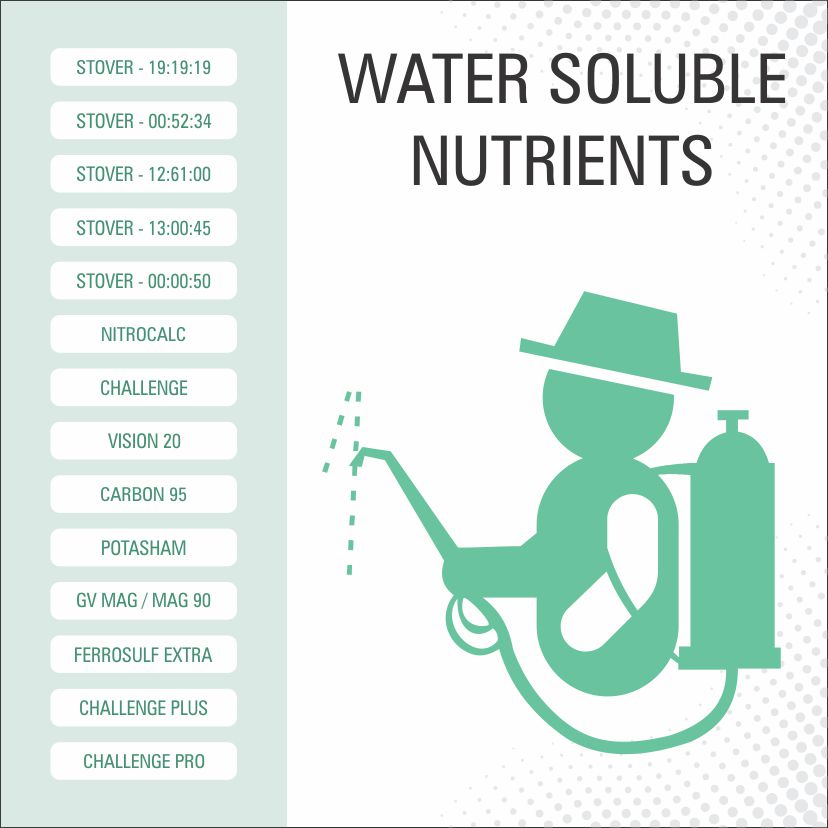 WATER SOLUBLE NUTRIENTS