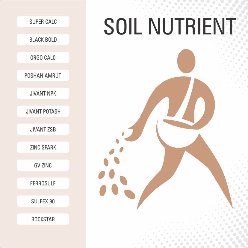 SOIL NUTRIENTS