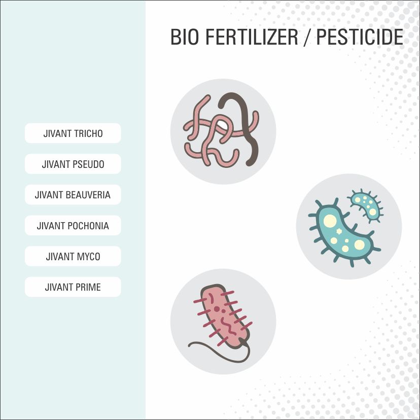 BIO FERTILIZER - PESTICIDES