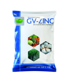 Gv Zinc