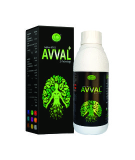 Avval +